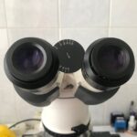 в окуляре микроскопа