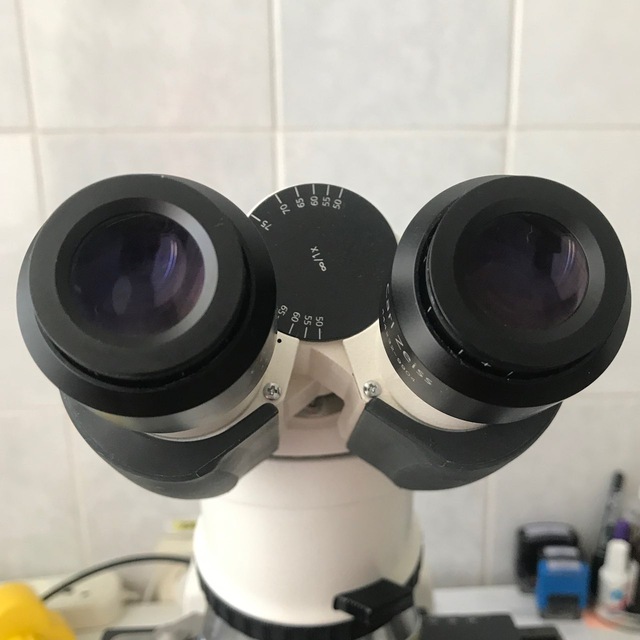 в окуляре микроскопа