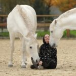 Перекладач мови коней 🐴